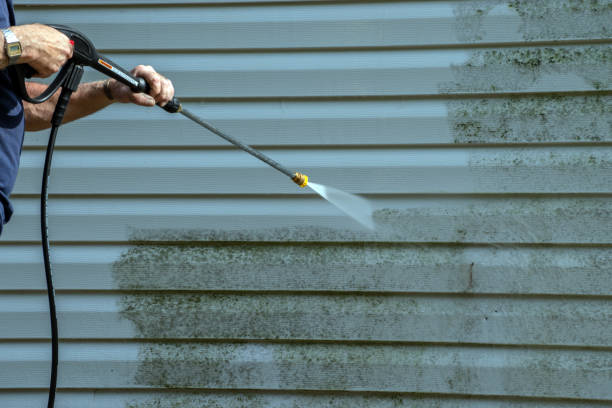 Best Power Washing Near Me  in Bushland, TX